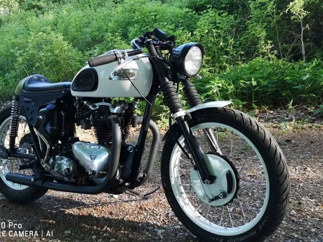 Billede 4 - Triumph