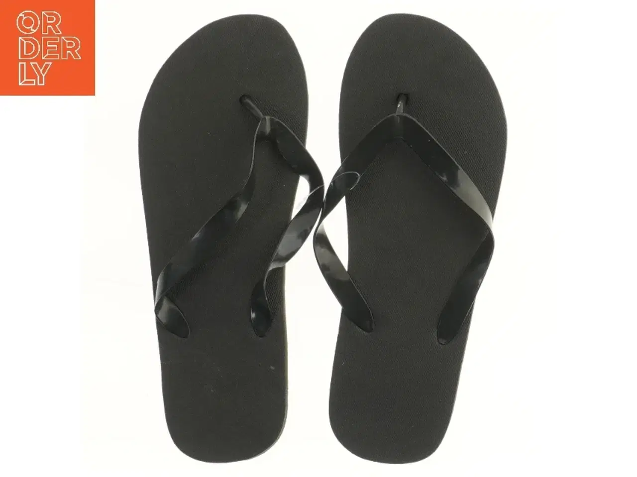 Billede 1 - Sorte klipklappere (str. 43-44 )