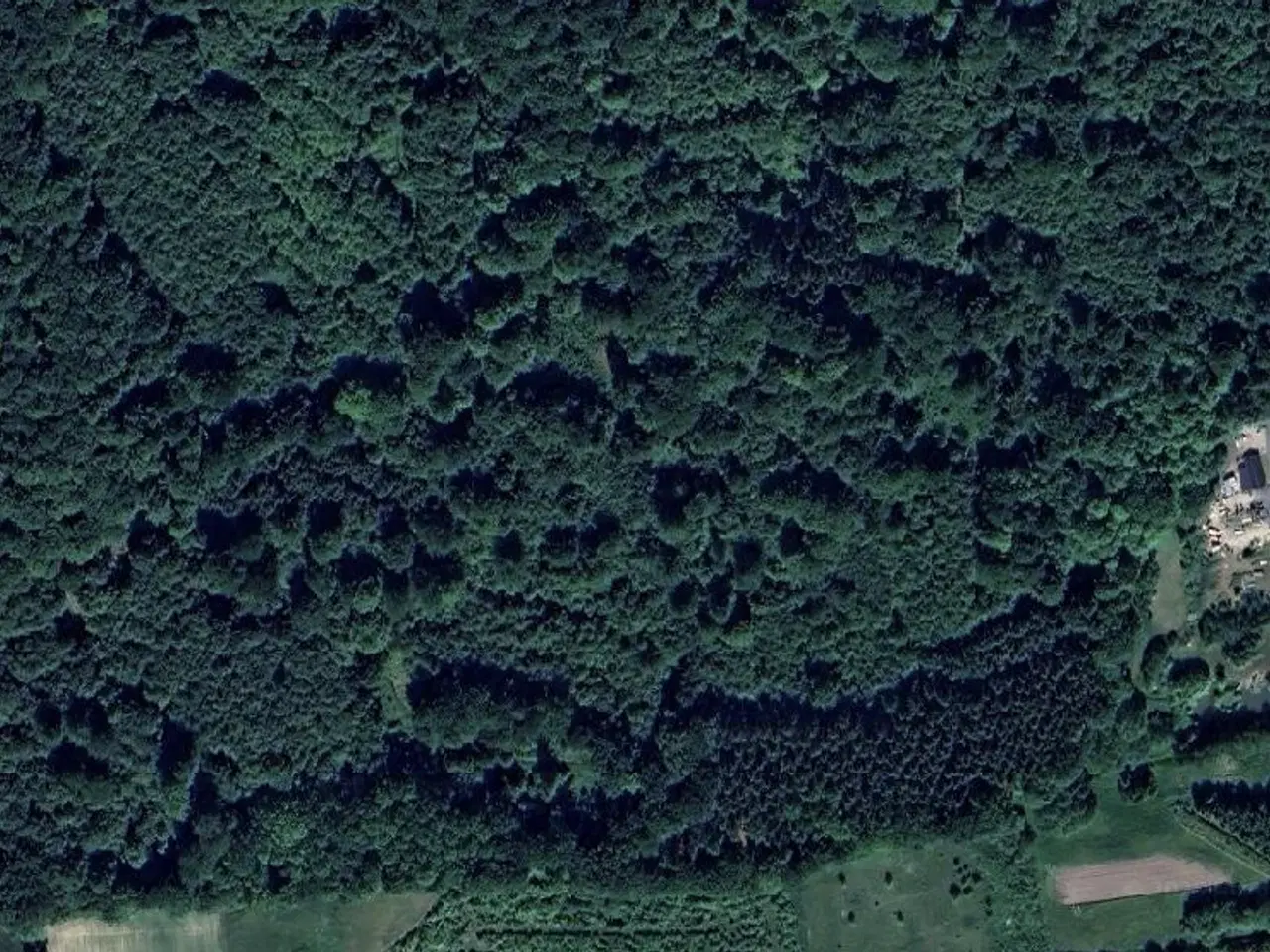 Billede 13 - Hyggeligheden til salg