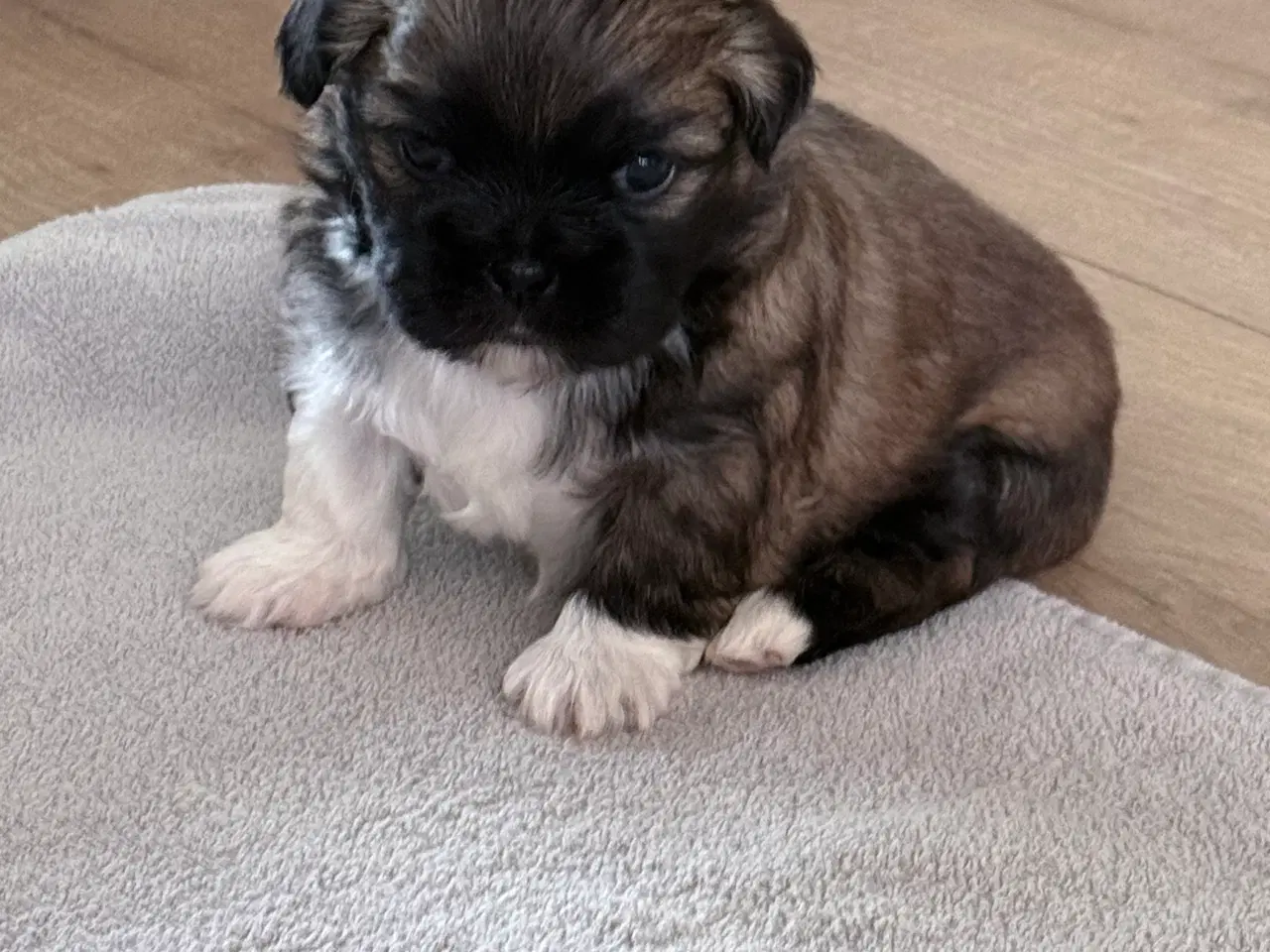 Billede 3 - Allergi venlige bomulds blandinger