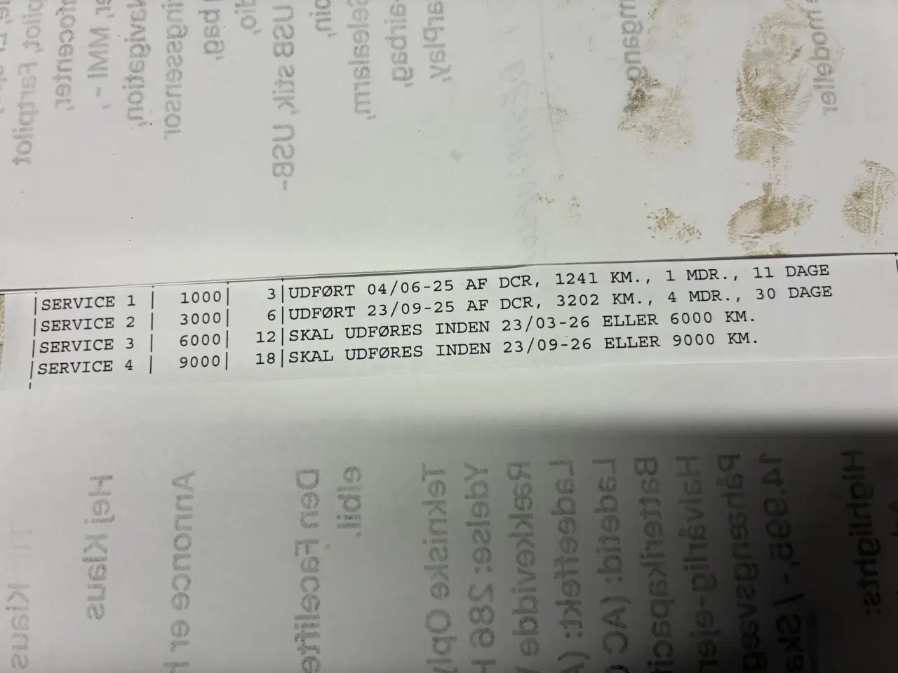 Billede 13 - Vga Street-X EFI 30 2025