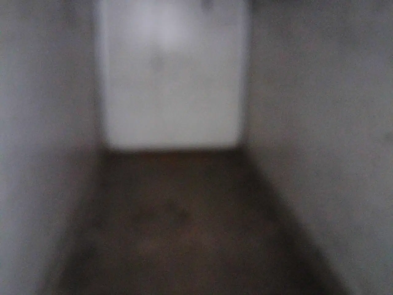 Billede 6 - God Fin cargo trailer med nogle år på bagen