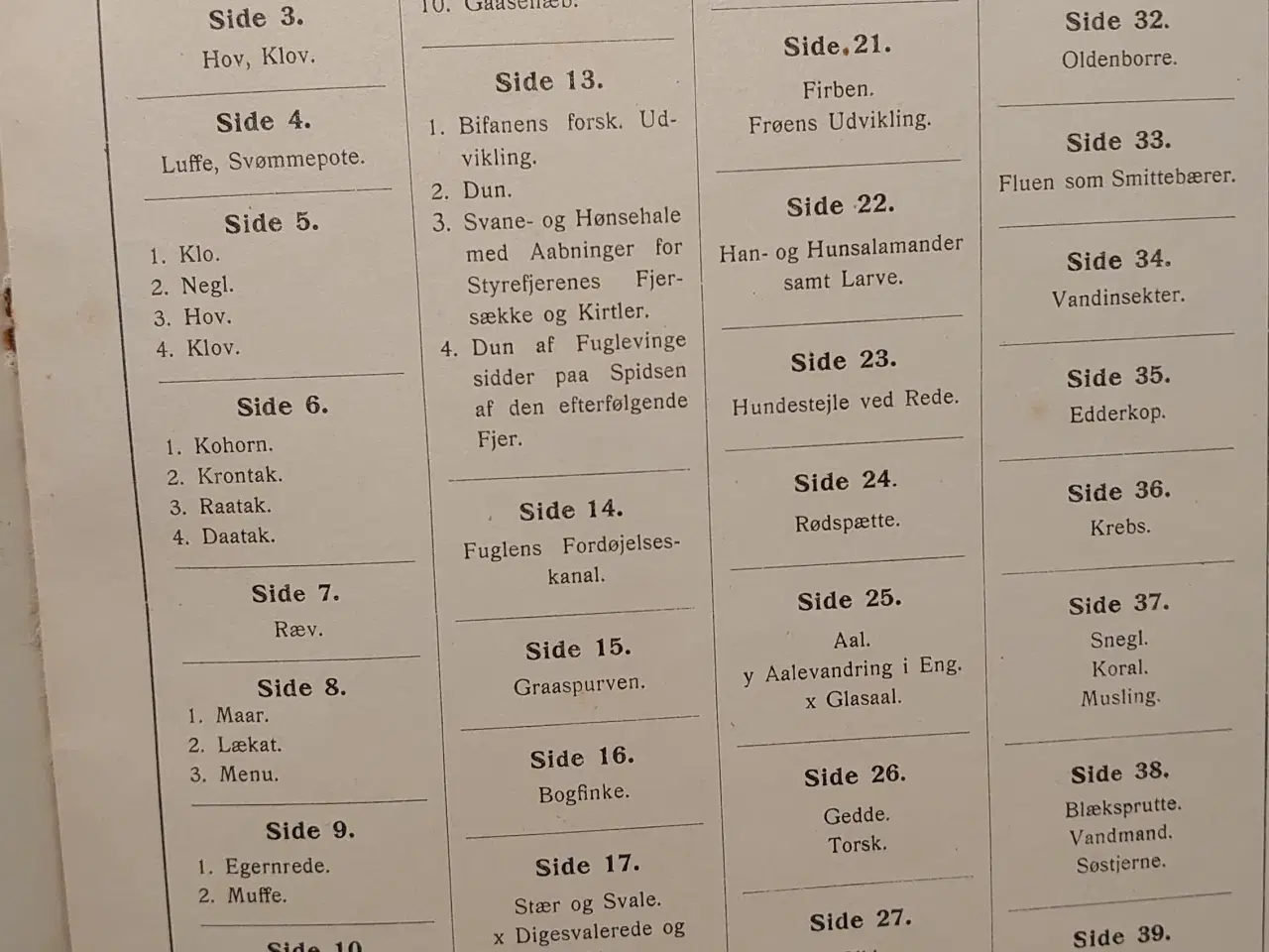 Billede 5 - Ejnar Gjessing: Zoologi.Fagillustrering 3. 1916