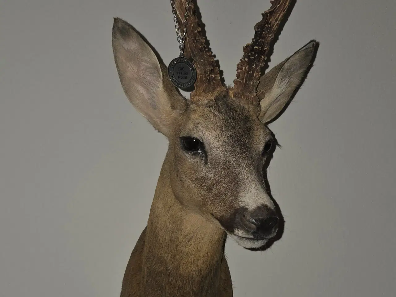 Billede 1 - Bukkeopsats. Skulder monteret sommerbuk 