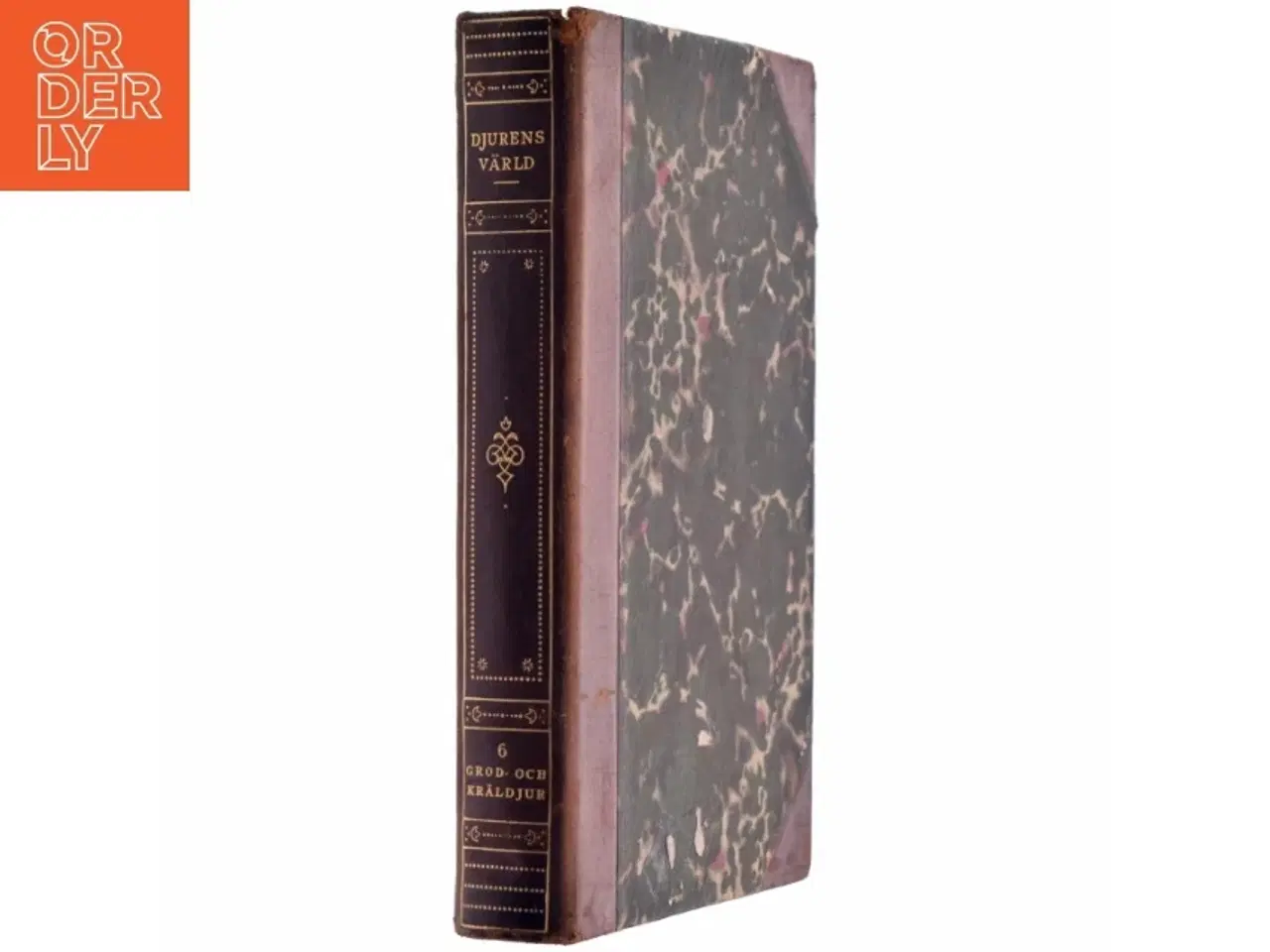 Billede 2 - Djurens Värld