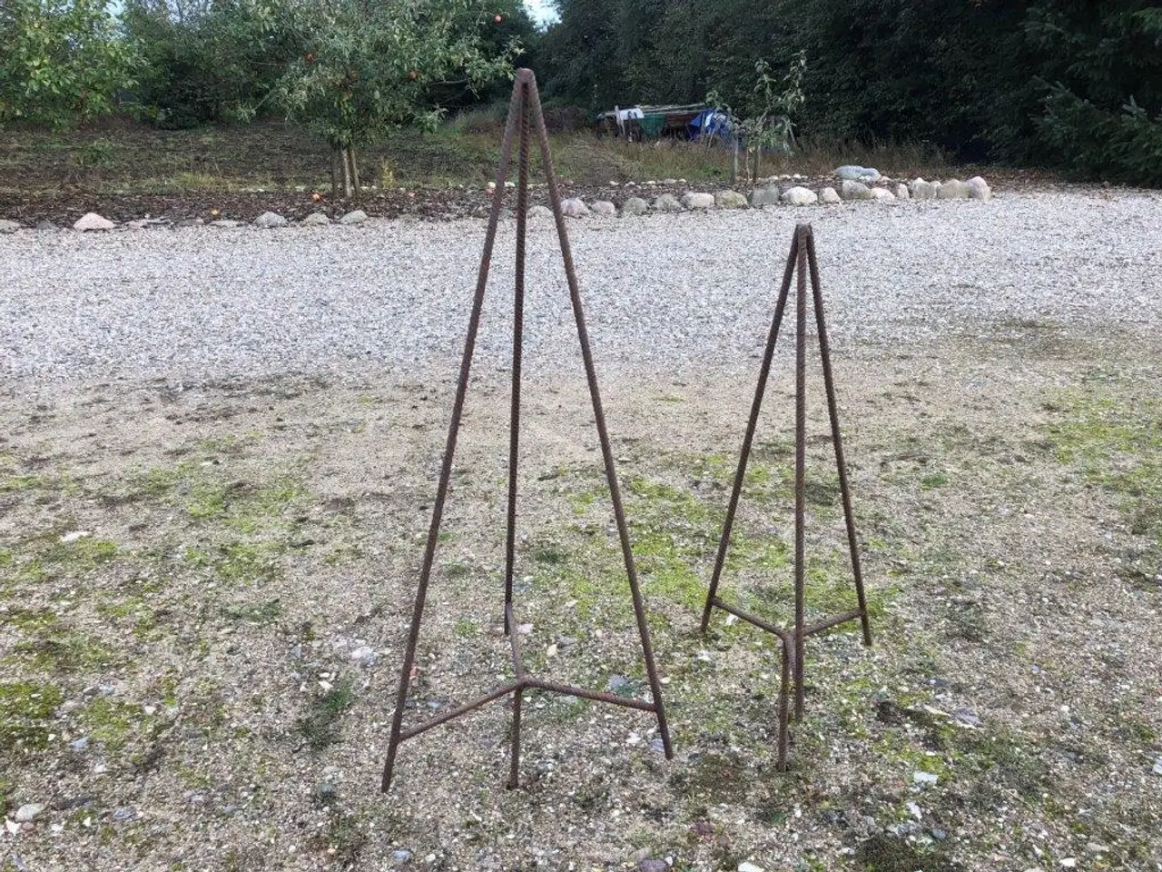 Billede 1 - Juletræer 2 stk. 