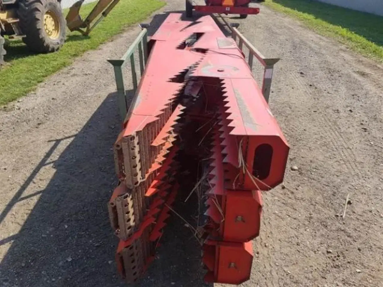 Billede 6 - Massey Ferguson Ryster 28480677