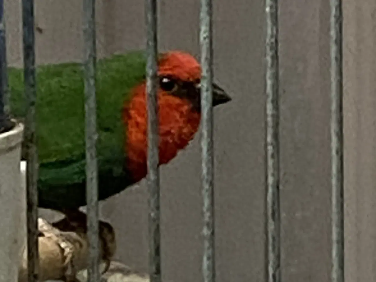 Billede 6 - Div finker