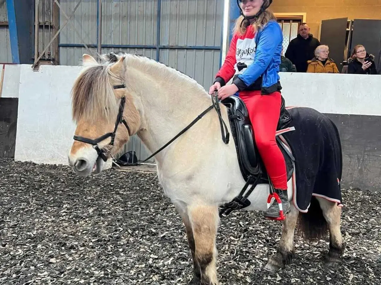 Billede 4 - Skovtur/hygge