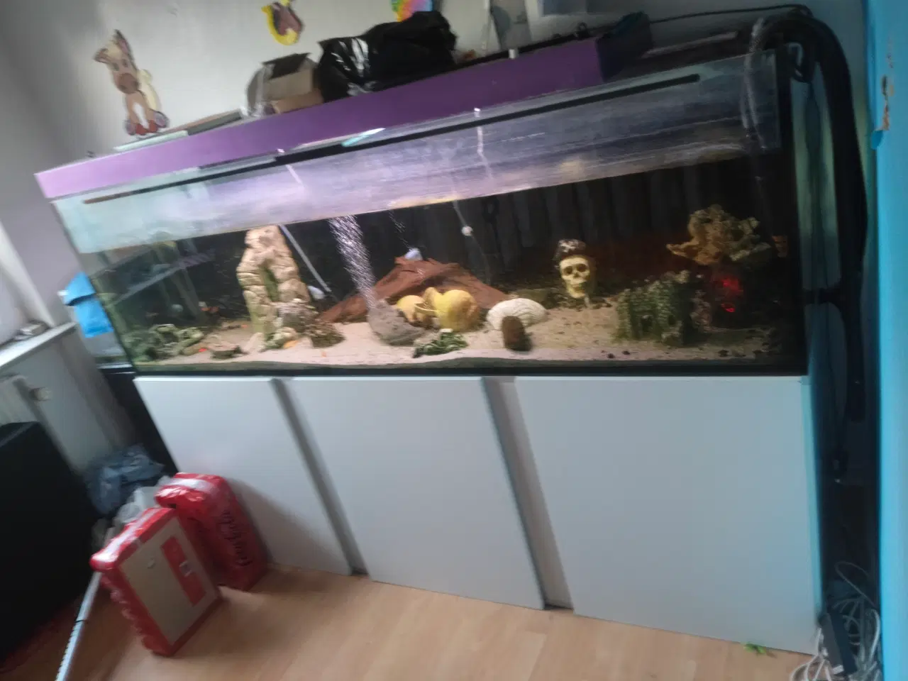 Billede 2 - 720 liters akvarie med alt 