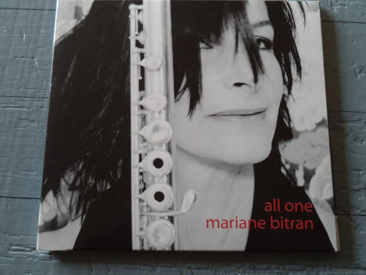 Billede 1 - Mariane Bitran ** All One (papcover)