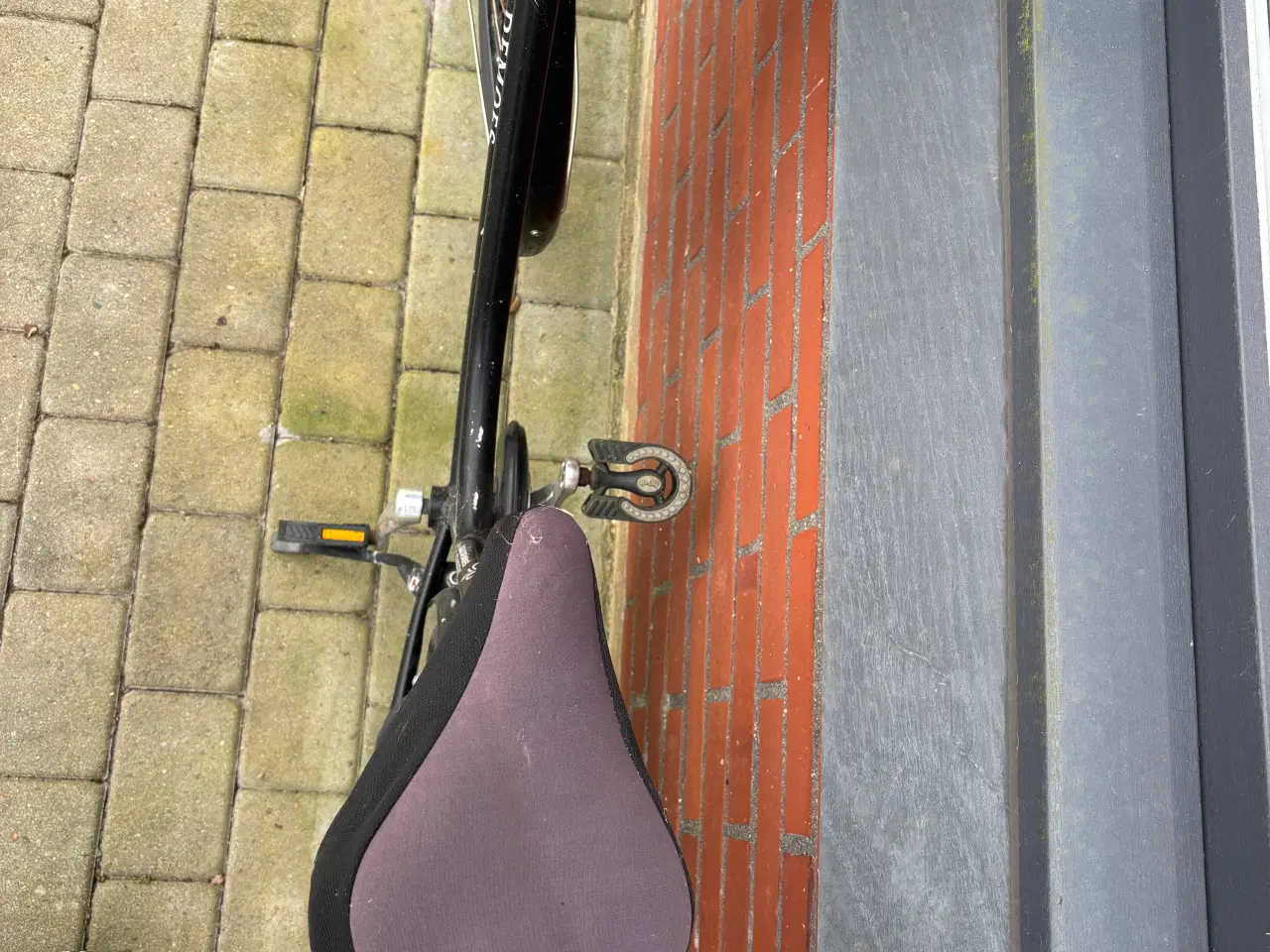 Billede 5 - Trænger til en kærlig hånd