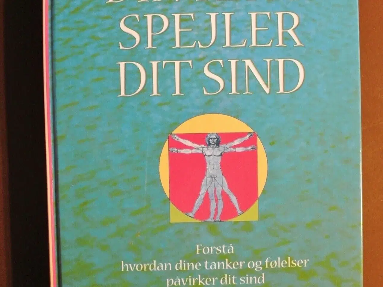 Billede 1 - din krop spejler dit sind, af debbie shapiro, emne