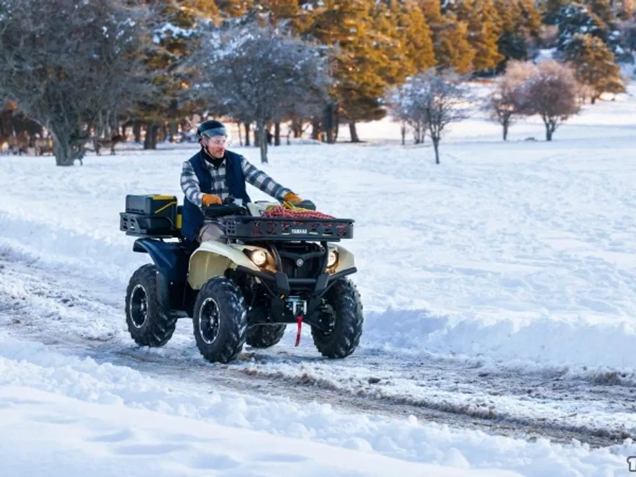 Billede 6 - Yamaha Kodiak 700 EPS Kiwami
