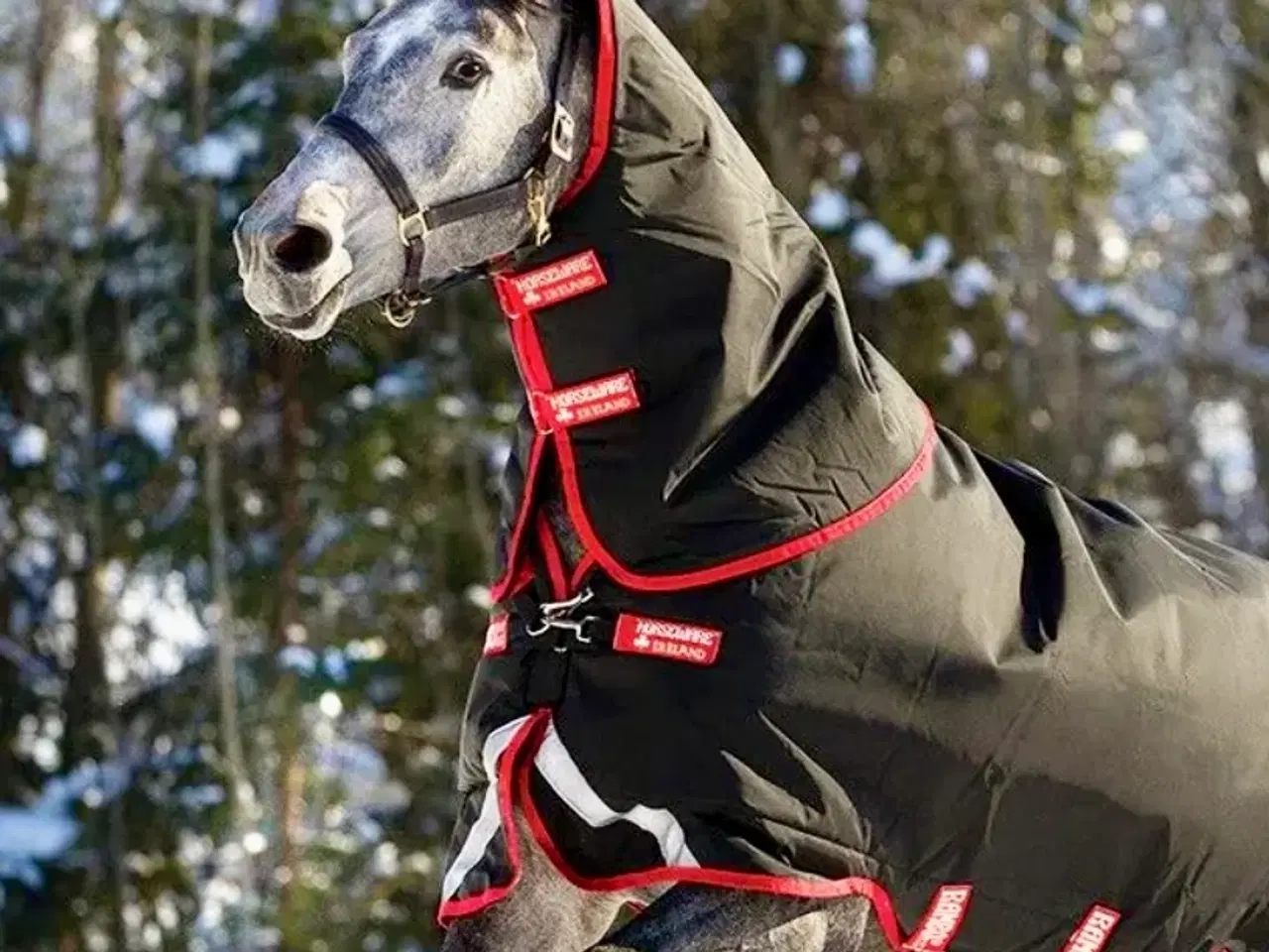 Billede 13 - Horseware Rambo Supreme Plus vinterdækken