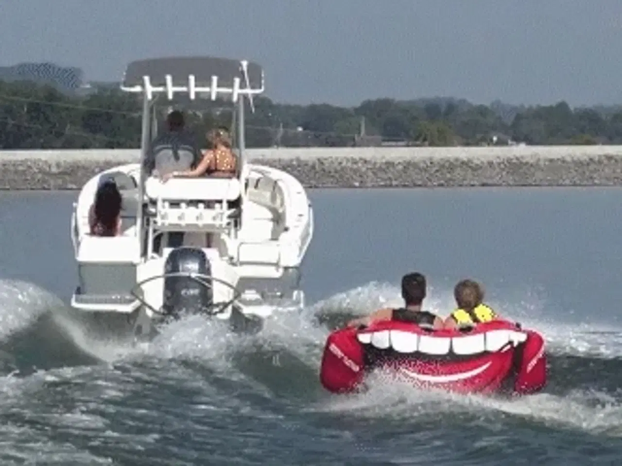 Billede 7 - TurboSwing GIANT