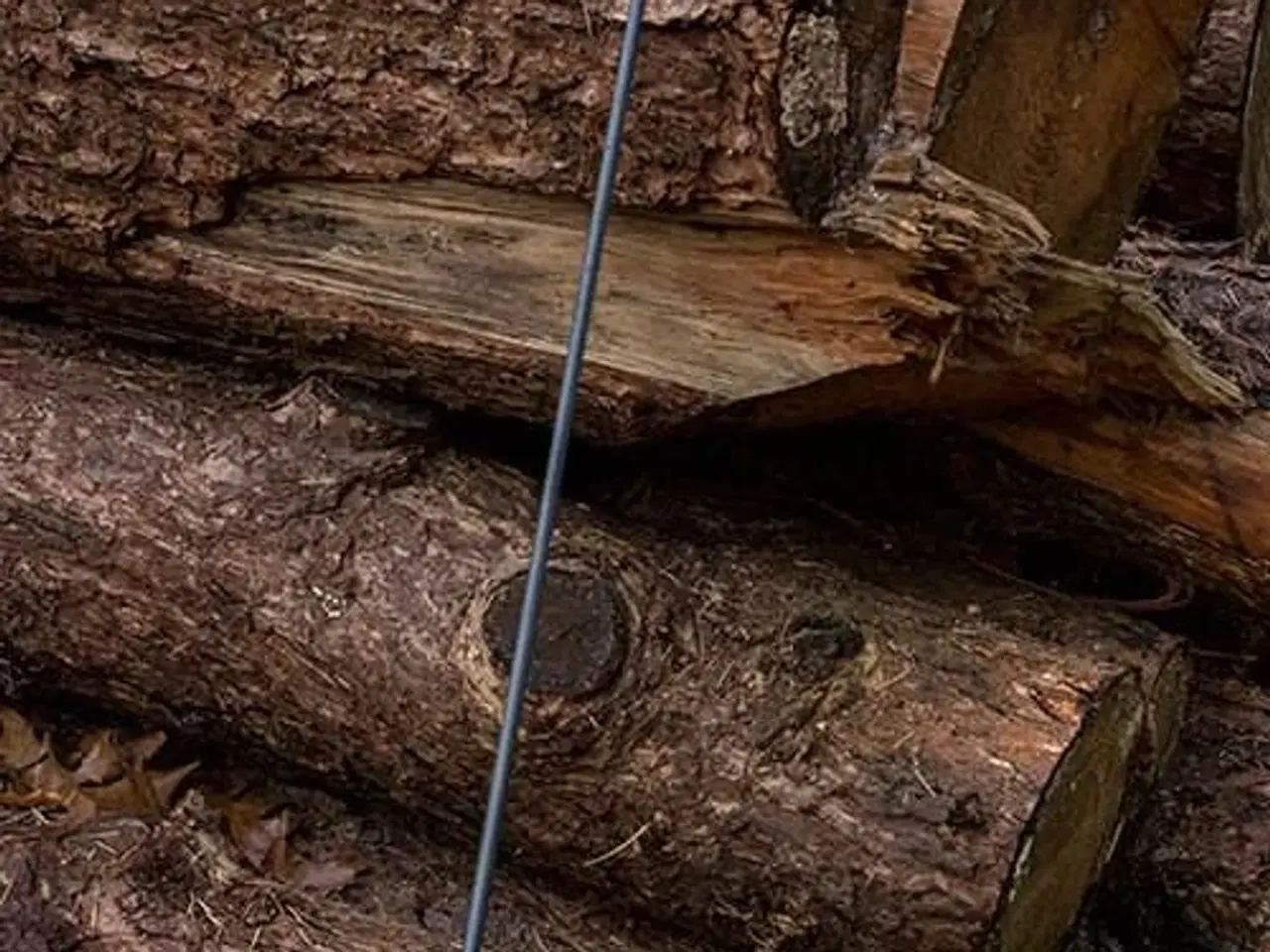 Billede 3 - Bue - Horse, pilekogger, 6 pile