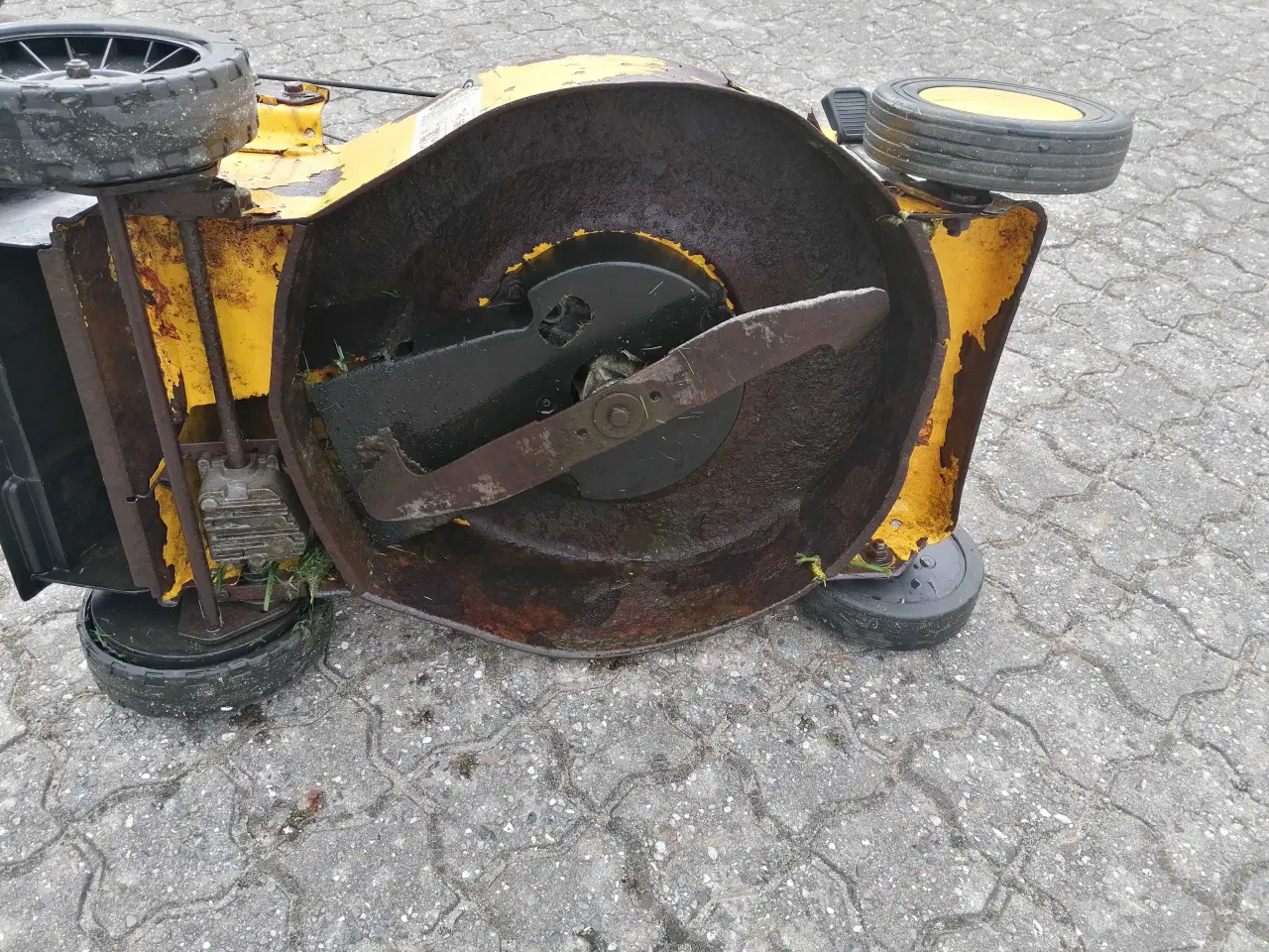 Billede 9 - 46 cm Ginge med Træk B&S Motor 