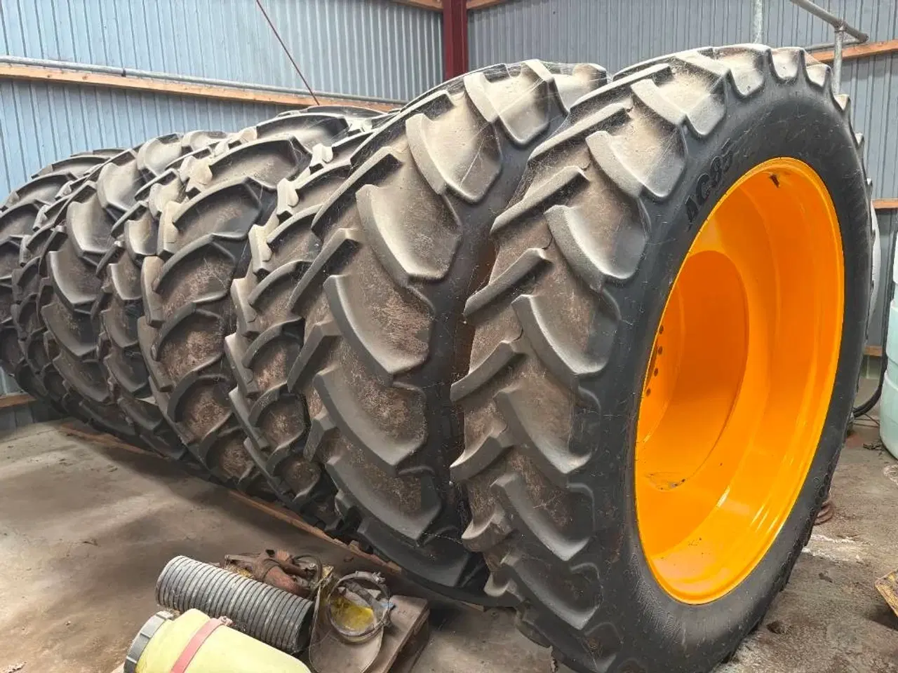 Billede 7 - - - - Evers Tribus renser SB 12- 150
