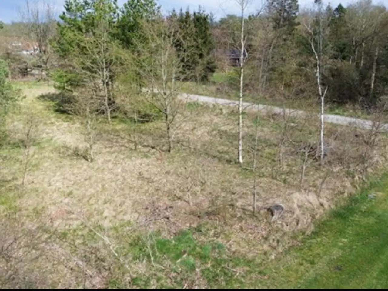 Billede 2 - Byggegrund i Hals