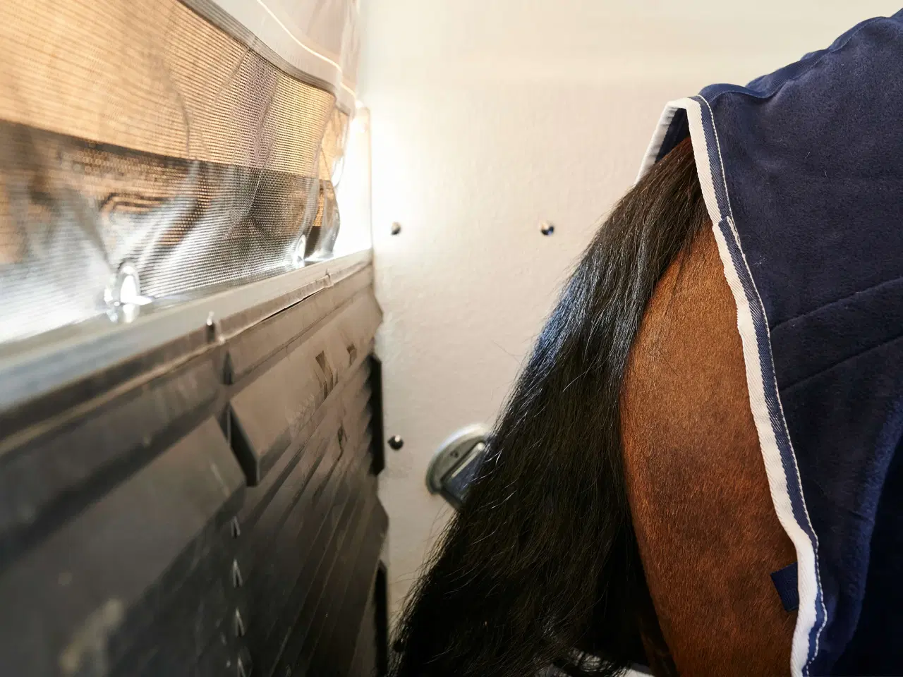 Billede 4 - Böckmann Duo Esprit 25 med udstyrspakke