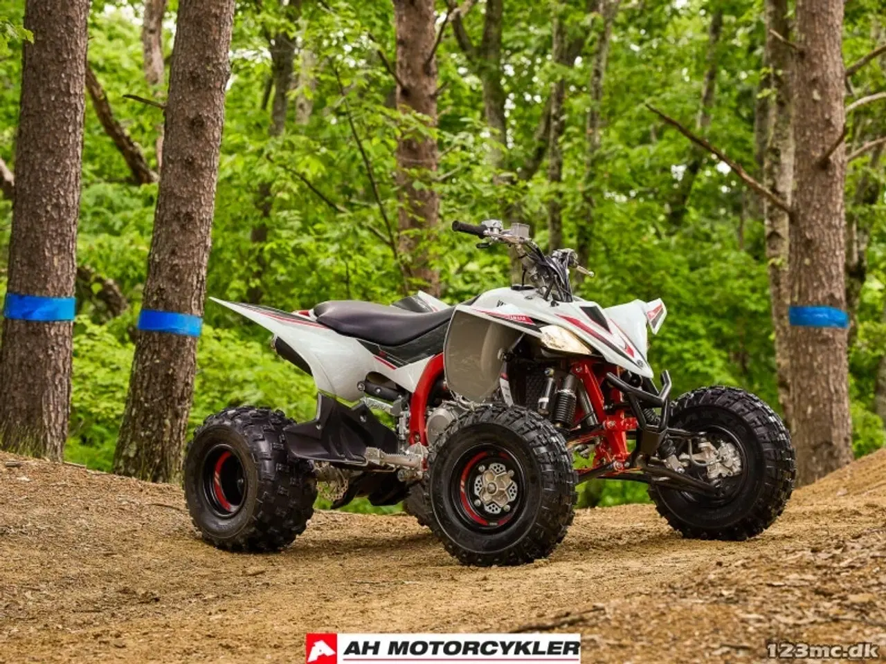 Billede 8 - Yamaha YFZ 450 R 70th Anniversary Edition
