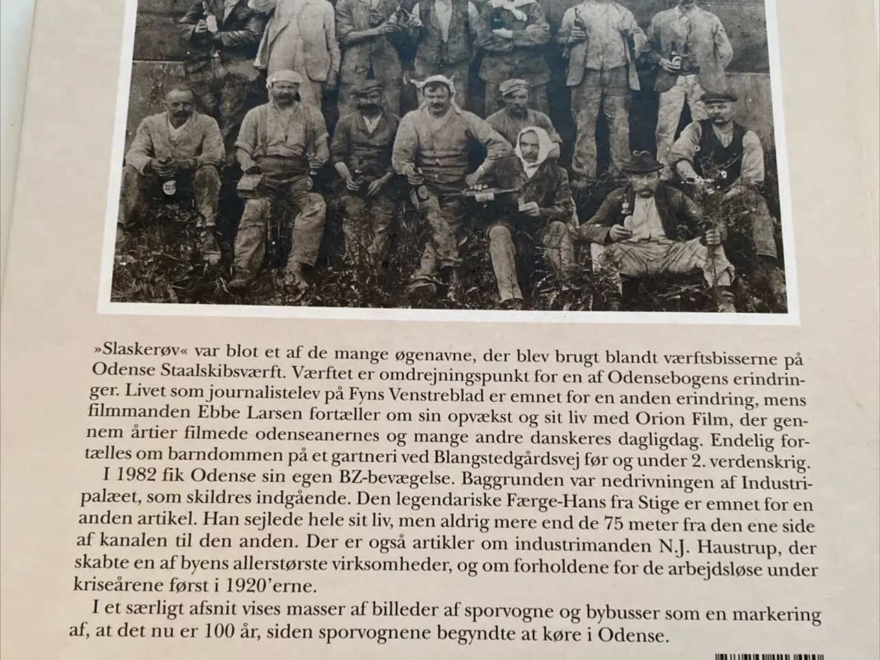 Billede 2 - ODENSEBOGEN 2012