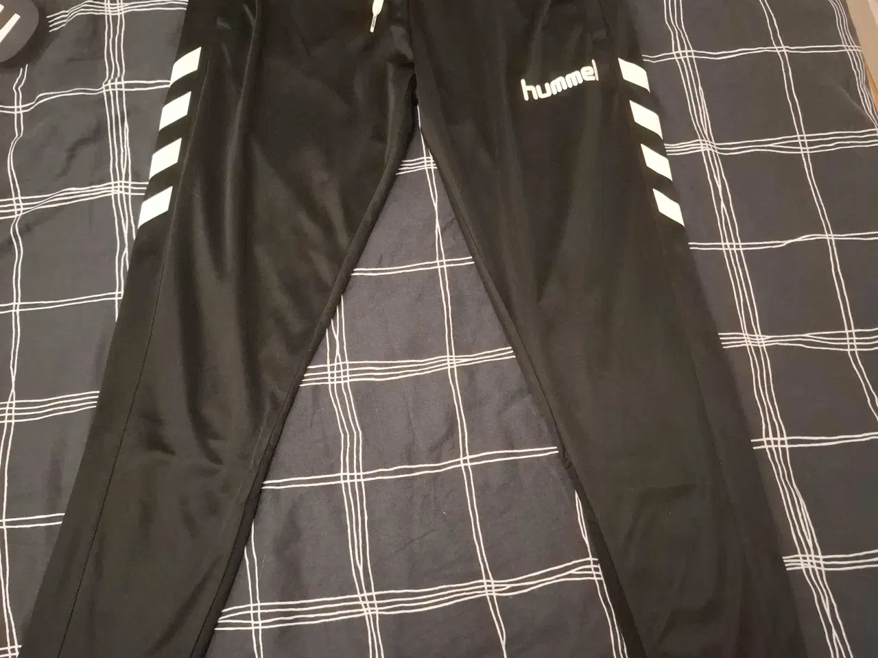 Billede 1 - Hummel busker M.