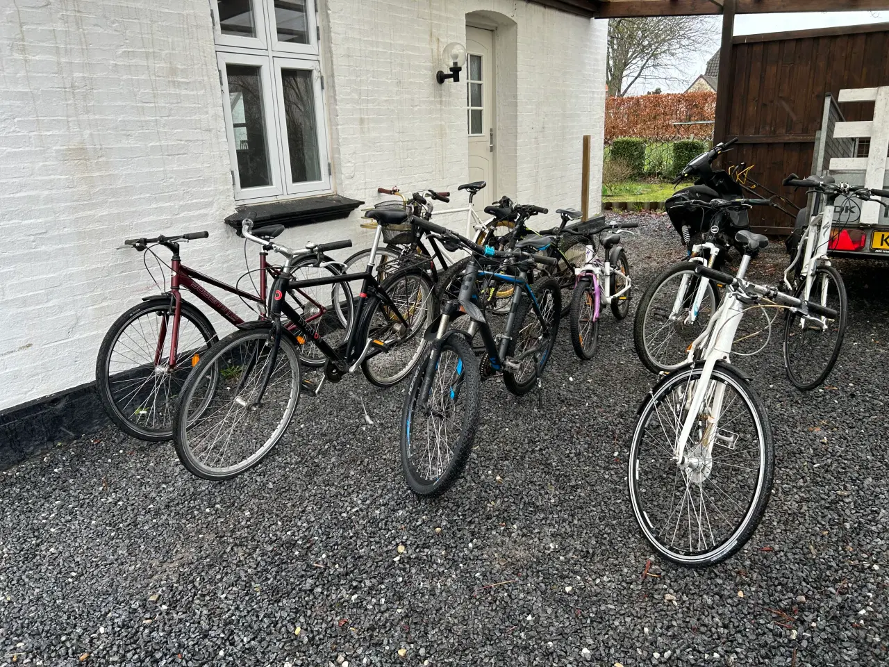 Billede 1 - Mange Cykler sælges 