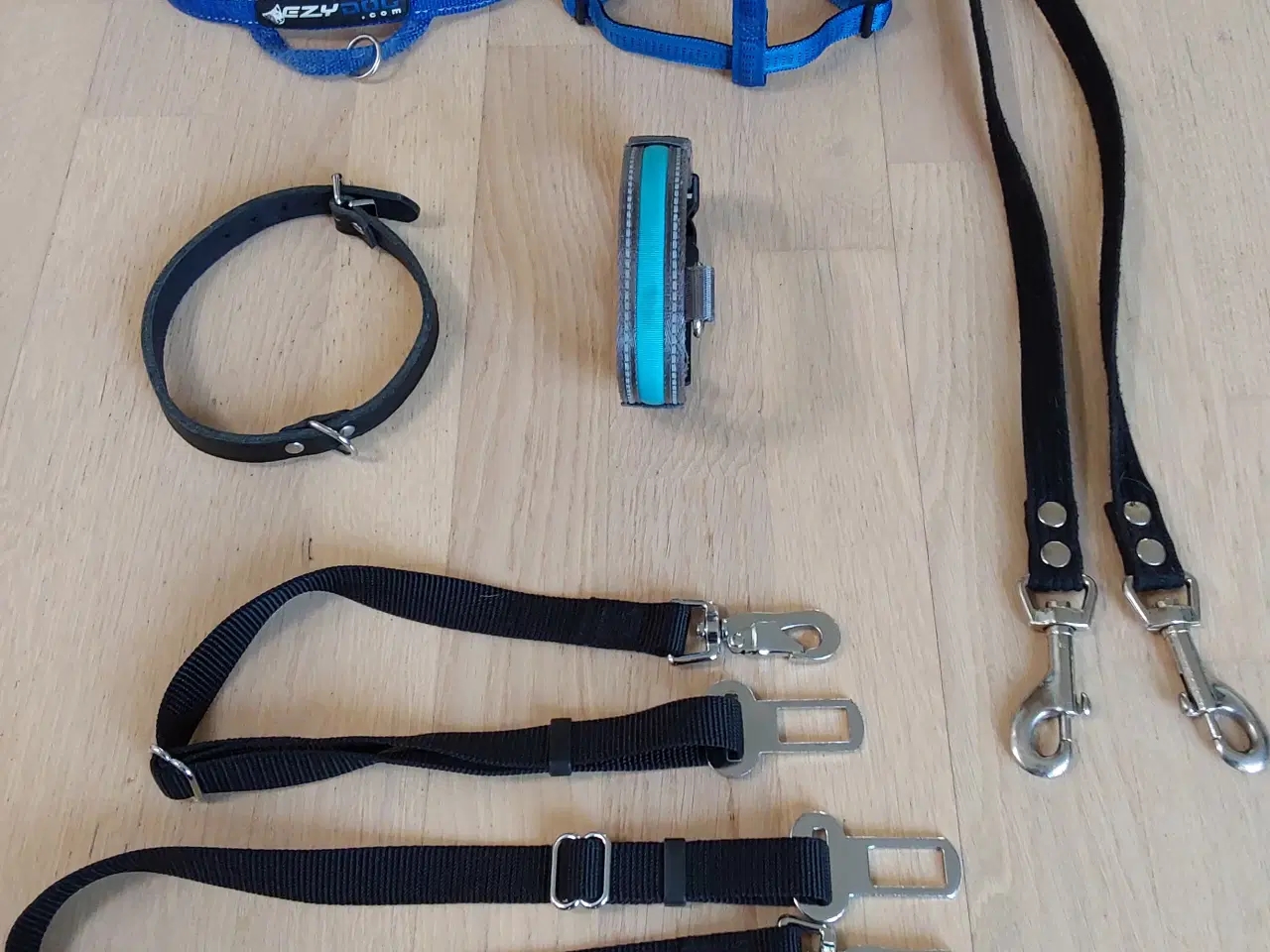 Billede 2 - Hundeseler/halsbånd forskellige slags