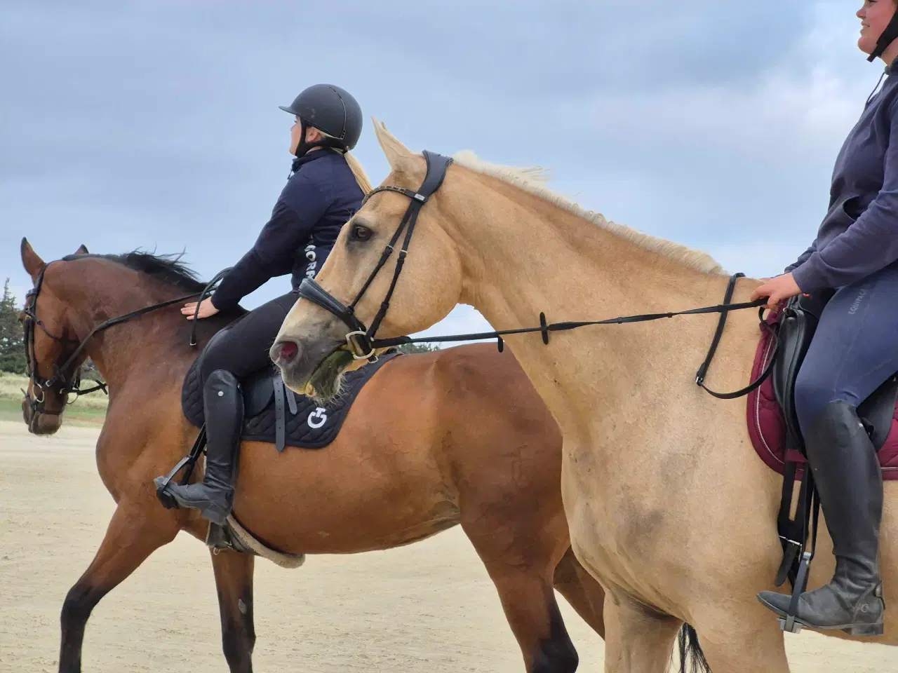 Billede 2 - Barbiehest og bedste kammerat sælges
