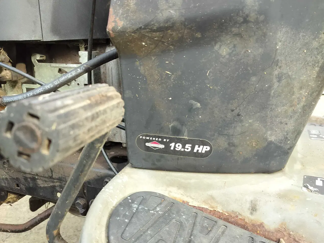 Billede 5 - Træner til en kærlig hånd 