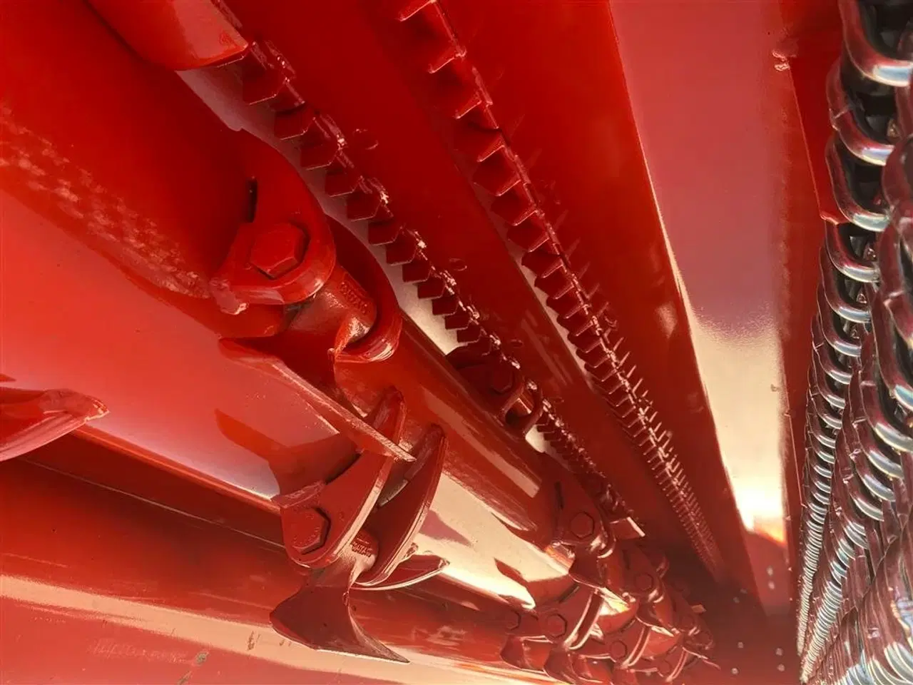 Billede 7 - Maschio Bufalo 300