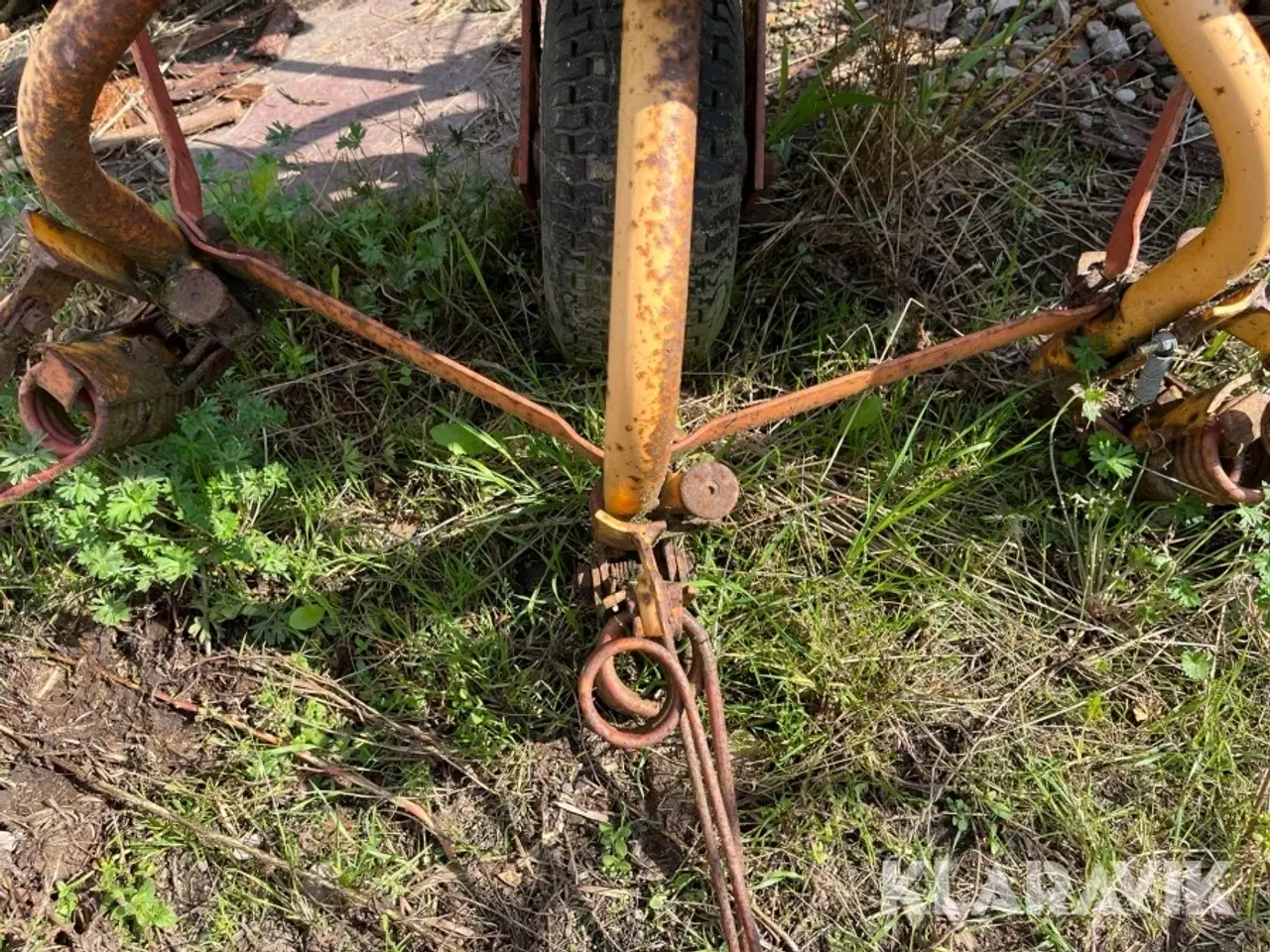 Billede 8 - Høvender