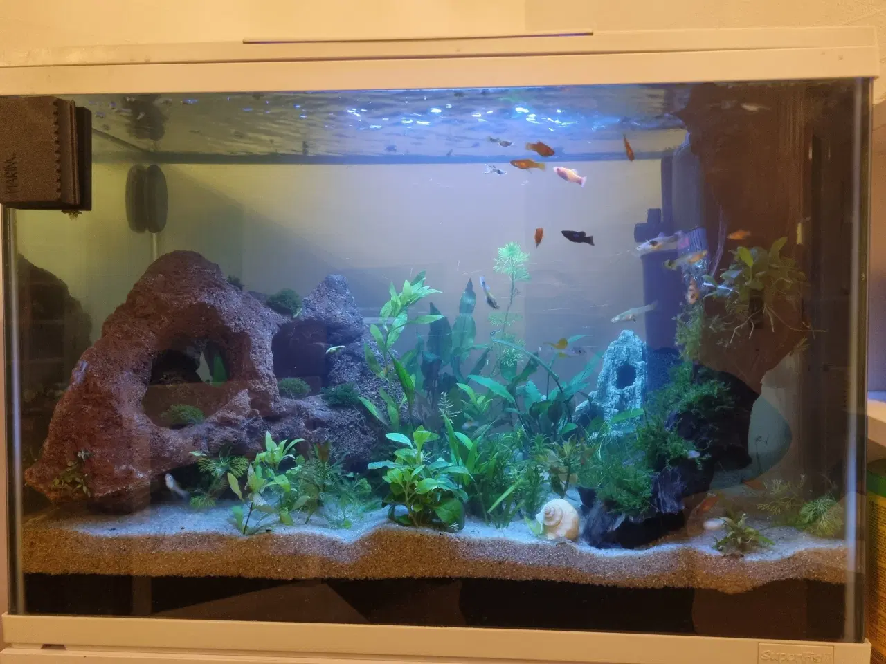 Billede 9 - Akvarium 100L SuperFish komplet setup 