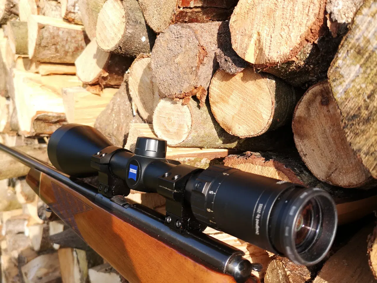 Billede 9 - Vore 22 magnum med Zeiss Terra 3X 3-9x50 kikkert