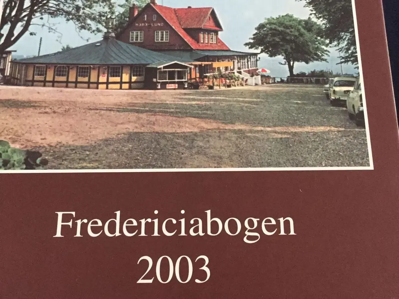 Billede 1 - Fredericiabogen
