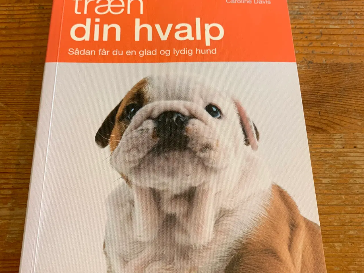 Billede 1 - Træn din hvalp