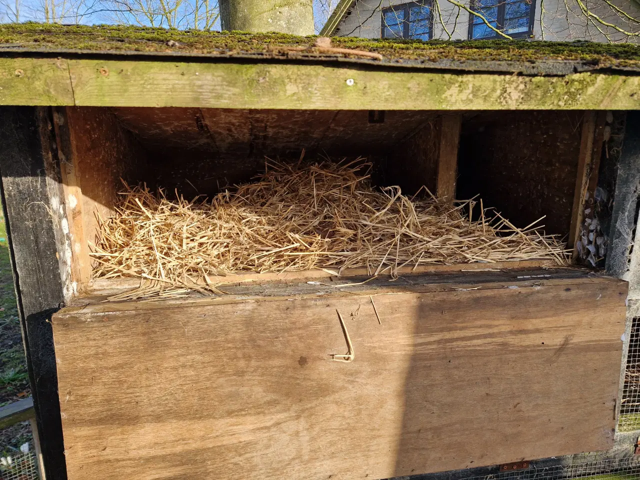 Billede 4 - Hjemmelavet kanin bur 
