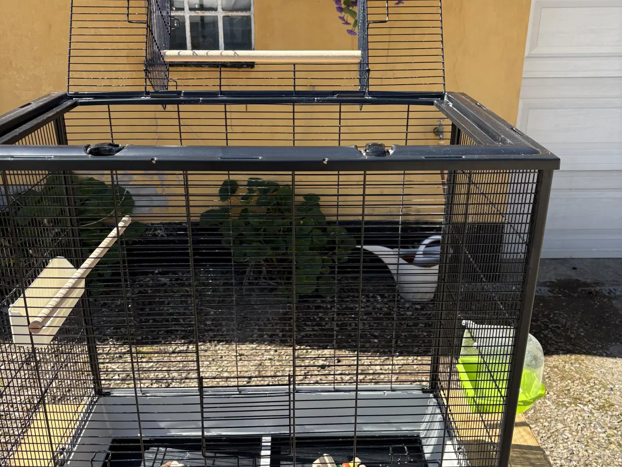 Billede 3 - Flot fuglebur i sort