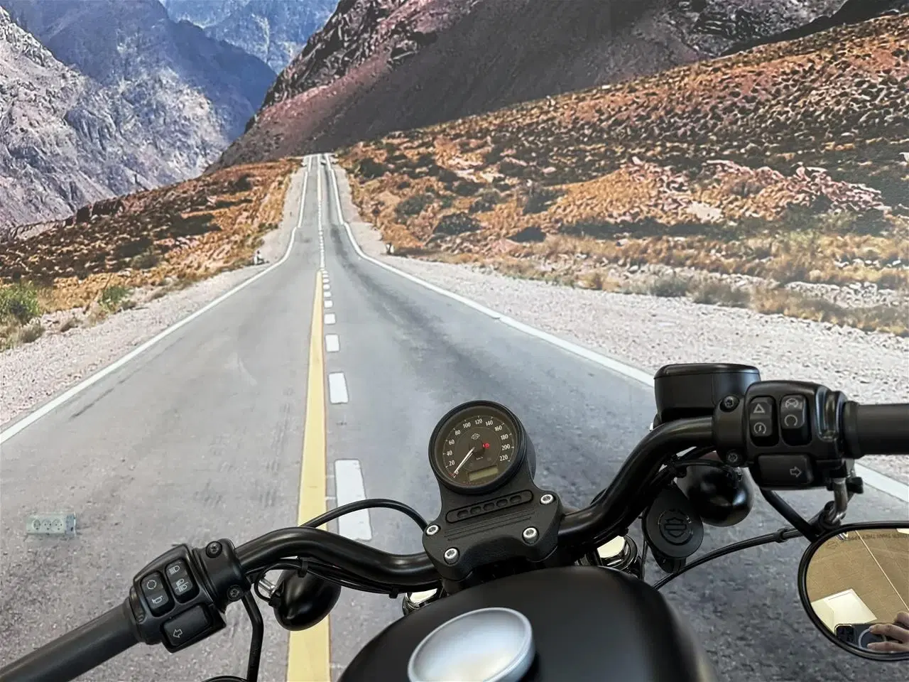 Billede 21 - Harley-Davidson XL 883 N Iron Sportster