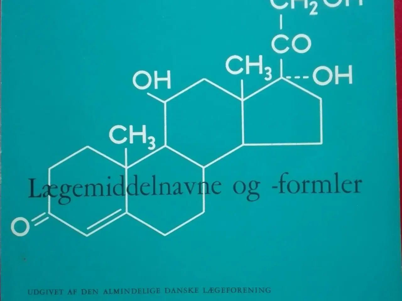 Billede 1 - Jørgen Buur et al