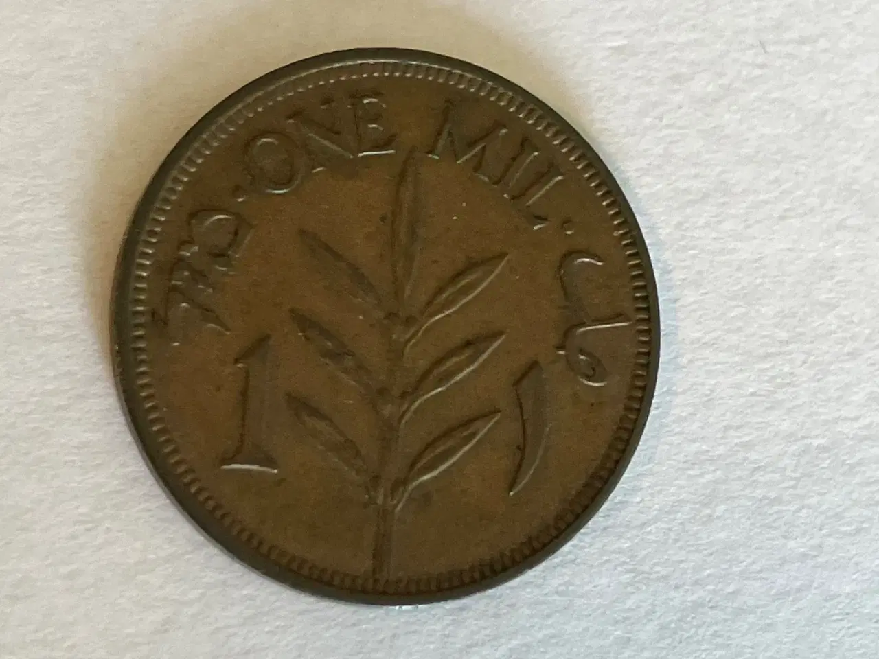 Billede 2 - 1 Mil Palestine 1939