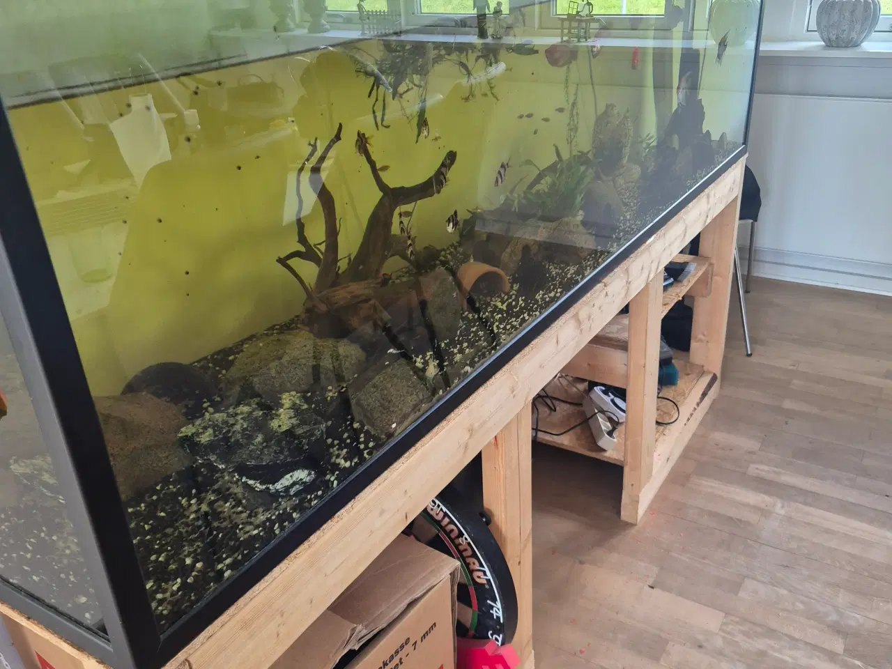 Billede 1 - Akvarie plus pumpe 