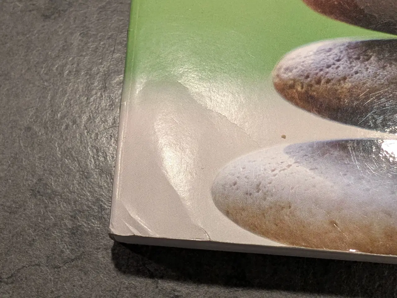 Billede 4 - Clara E. Hill Helping Skills bog