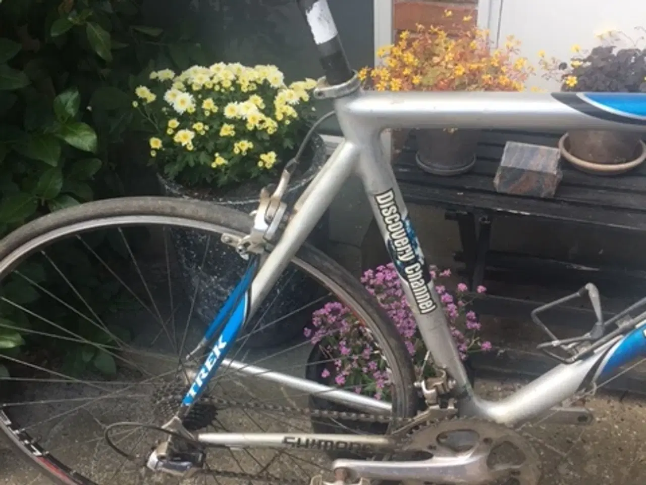 Billede 2 - Trek madone 5,9