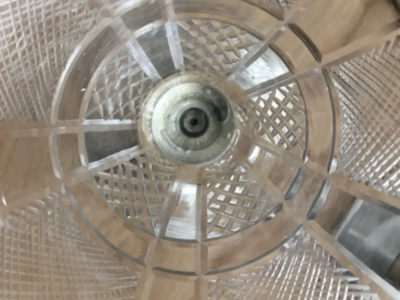 Billede 6 - Lene Bjerre .20 år gamle 