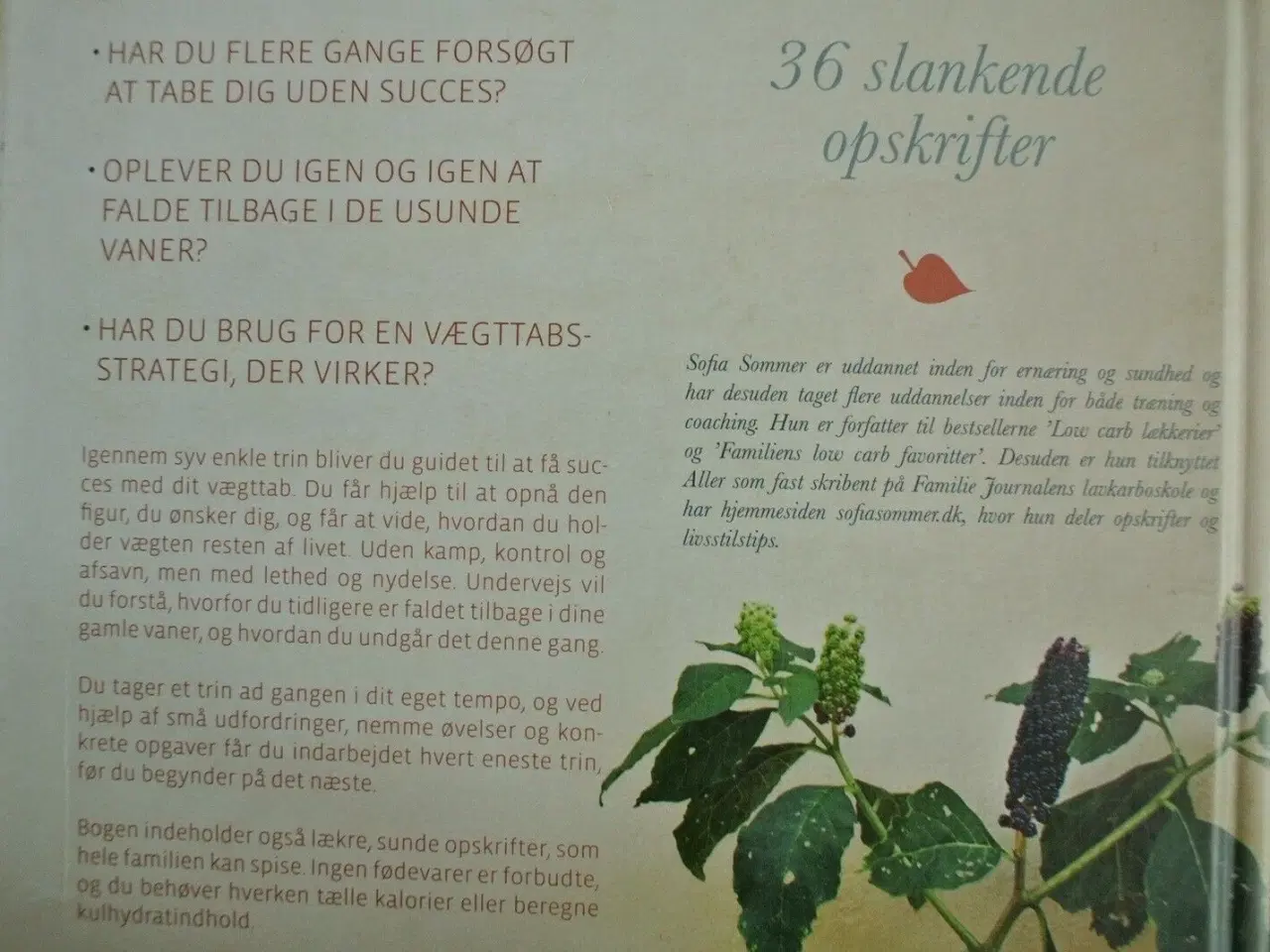 Billede 3 - sunde vaner smuk figur - 7 enkle trin til en krop 