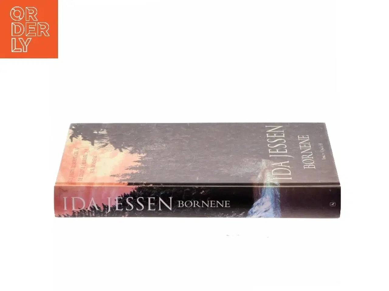 Billede 2 - Børnene : roman af Ida Jessen (f. 1964) (Bog)