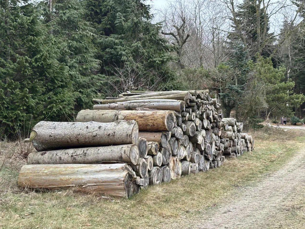 Billede 3 - Brænde - gran mm.